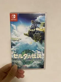 ゼルダの伝説 ティアーズ オブ ザ キングダム Switch
