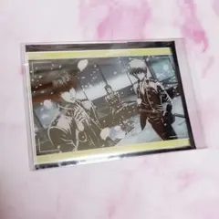 銀魂 HANA・BIYORI ハナビヨリ 真選組 SAKURA アクリルカード