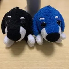 三代目JSB 岩田剛典　メンプロ