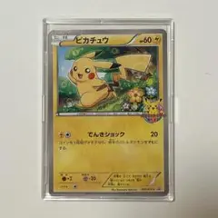 2025年最新】シリーズ：プロモーションカード ポケモンカード