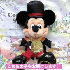 東京ディズニーランド　40周年　ドリームゴーラウンド　ミッキー　ぬいぐるみ