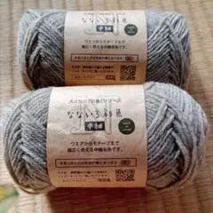 Item thumbnail for item c62a478b-6822-42a5-850e-2d57bb605b6e