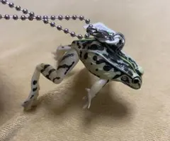 Item thumbnail for item 50886cac-7c18-4576-aefd-82387f110a9c