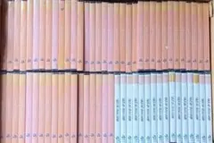 2026年最新】SKE48まとめ売りの人気アイテム - メルカリ