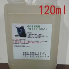 Item thumbnail for item 79422827-3daa-46e6-bbc9-e827b696f5d5