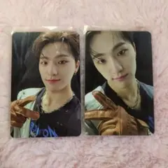 ディノ face the sun