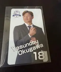 東京ヤクルトスワローズ はたらくひと応燕シリーズ2026 山田哲人