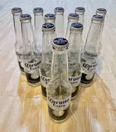 Corona Extra 空き瓶 12本セット
