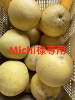 Michi様専用