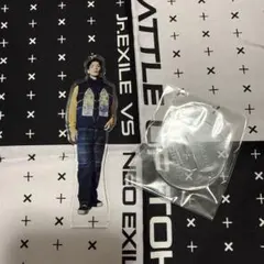 小波津志 ミニアクリルスタンド - メルカリ