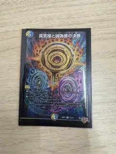 デュエルマスターズ　パーフェクトペテンシー　(SR・シク) ２枚 デュエルマスターズ パーフェクトペテンシー (SR・シク) 2枚