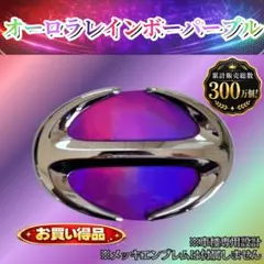 17プロフィア 17レンジャー ウインドウパネル 金華山 モンブランローズ