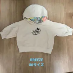 Item thumbnail for item 3a181d07-fab4-453e-8524-b2fe11aa86b1