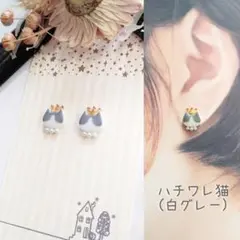 No.620-D オカメインコ☆ハンドメイド☆鳥☆レジン☆樹脂ポストピアス