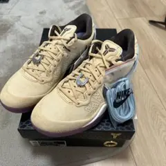 Nike Kobe 8 Protro 
