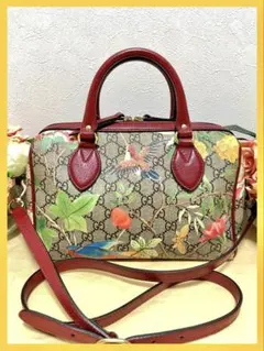 グッチ GUCCI ティアン GGスプリーム ショルダーバッグ 409529 - メルカリ
