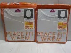 Item thumbnail for item 294cde8c-493d-4c2d-a9e9-86329d11dac5