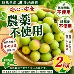群馬県榛名産 梅郷】2kg【 L〜2L】農薬不使用 化学肥料不使用 中熟完熟