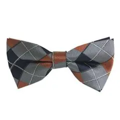 Item thumbnail for item 0c8c78e4-2e3e-4504-812f-40046f70813b