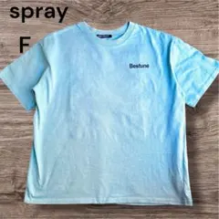 【美品】SpRay 半袖 Tシャツ くすみグリーン フリーサイズのサムネイル