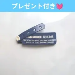 【激レア】ELLEGARDEN ワンオク 入場リストバンド 復活ライブ 2018