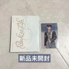 &TEAM Back to Life Mini CD-R 新品未開封 HARUA