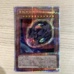 原紙生命態二ビル 25th クォーターセンチュリーシークレット レアコレ