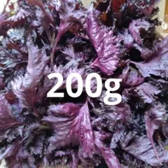 赤紫蘇　赤し200g.398のサムネイル