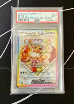 2026年最新】テラスタルフェス イーブイ psaの人気アイテム - メルカリ