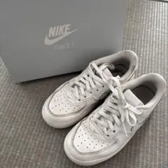 Item thumbnail for item 43a32470-e6f4-4226-a5cc-14b66731ea12