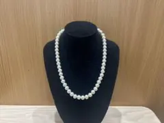 Item thumbnail for item 14bf9499-bc61-42d5-a9c7-bba434971363