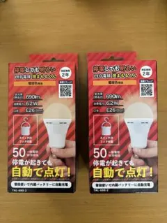 停電しても明るい LED電球 燈まもるくん TAL-690-2 /2個セット