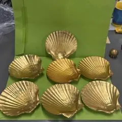 シェル　貝殻　小物置き
