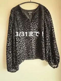 春のセールBANANA REPUBLIC レオパード柄 (レース)トップスM
