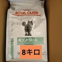 Item thumbnail for item d96510be-1559-42d0-924b-7ea6664cd64e