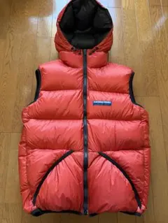 2026年最新】feathered friends ダウンベストの人気アイテム - メルカリ