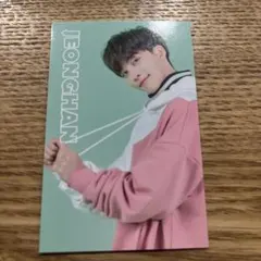 SEVENTEEN CARATLAND ケレン ジョンハン トレカ