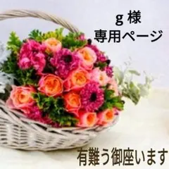 g様 リクエスト 3点 まとめ商品