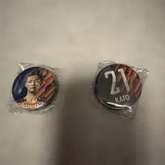 Item thumbnail for item 236424a6-9a97-42ac-80a7-01cec6bc8e69