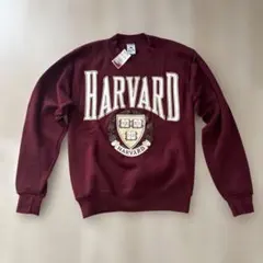50s ハーバード大学 カレッジペナント フェルト 美品 HARVARD 2026年最新】HARVARDの人気アイテム - メルカリ