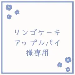 リンゴケーキアップルパイ様 リクエスト 4点 まとめ商品