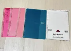 Item thumbnail for item d8cca79d-e789-462e-9a7e-034642cc1b05