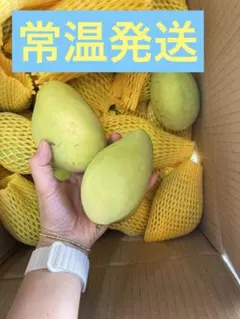 ベトナム産グリーンマンゴー1〜1.1kg(3〜6個)冷蔵発送 - メルカリ