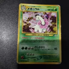 メガニウム_プレミアムファイル PROMO 第1世代 1996~1999