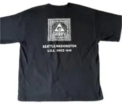 GERRY ジェリー 半袖 Tシャツ バックプリント バンダナ柄 ペイズリー 黒のサムネイル