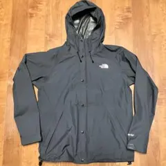 GORE-TEX スタンダードジャケット ゴアテックス グレー ノースフェイス