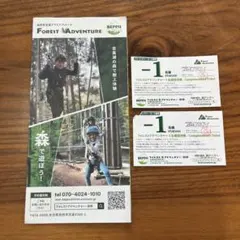フォレストアドベンチャー　無料招待券　2枚　別府のサムネイル