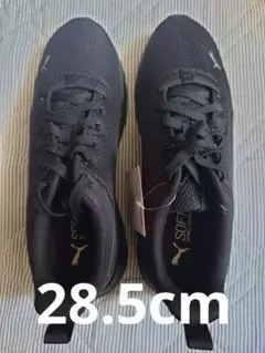 Item thumbnail for item c4108b8d-af79-4a47-a152-caaea1be2657