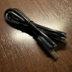 USB A - USB B ケーブル 黒 1.0m