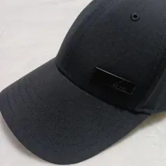 Item thumbnail for item 088ee0c3-1f74-47cf-838d-8fa85ca4cff8